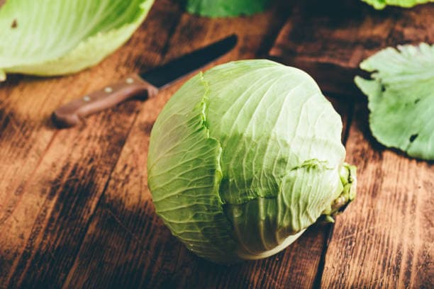 خرید کلم سفید درجه یک + قیمت فروش استثنایی